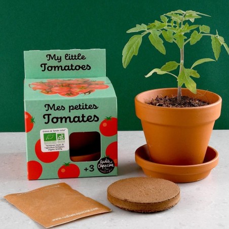 Mini Kit Tomates Cerises Bio - Radis et Capucine