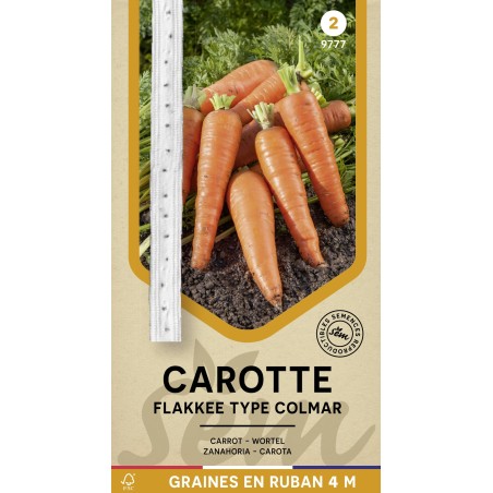 Graines Carotte Flakkee en Ruban de 4M