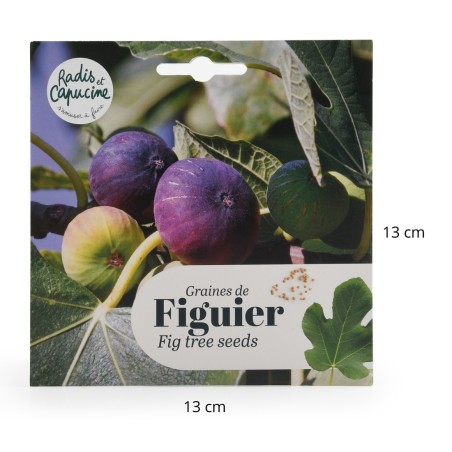 Graines Figuier Ficus Carica - Radis et Capucine