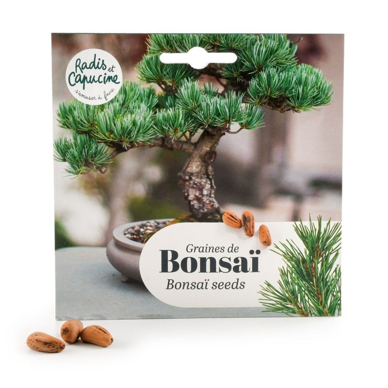 Kit Bonsaï Érable Rouge - Radis Et Capucine - Graines, Substrat, Pot & Notice - Cadeau Jardinage