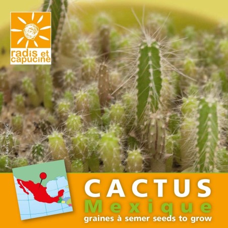 Graines Cactus du Mexique - Radis et Capucine