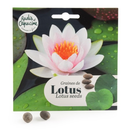 Graines Lotus Rose Nymphéa - Radis et Capucine