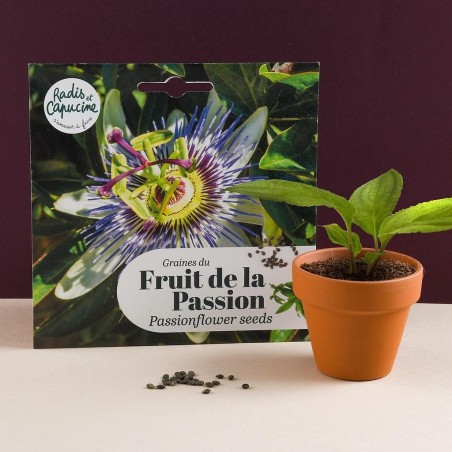 Graines Fruit de la Passion - Radis et Capucine