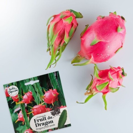 Graines Fruit du Dragon Pitaya - Radis et Capucine