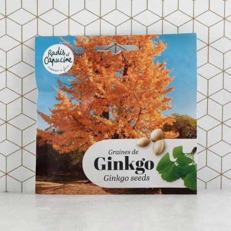 Graines Ginkgo Biloba de Chine - Radis et Capucine