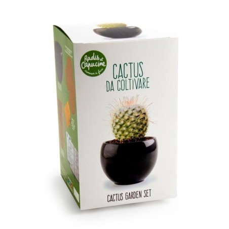 Kit Cactus - Radis et Capucine