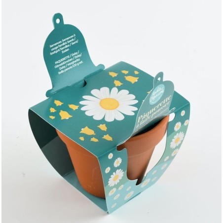 Pâques Pot Terre cuite 8cm Pâquerettes - Radis et Capucine