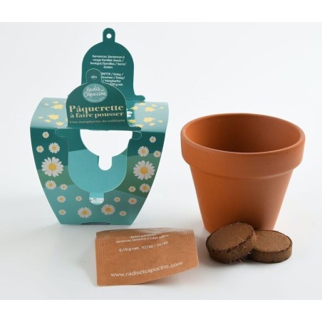 Pâques Pot Terre cuite 8cm Pâquerettes - Radis et Capucine