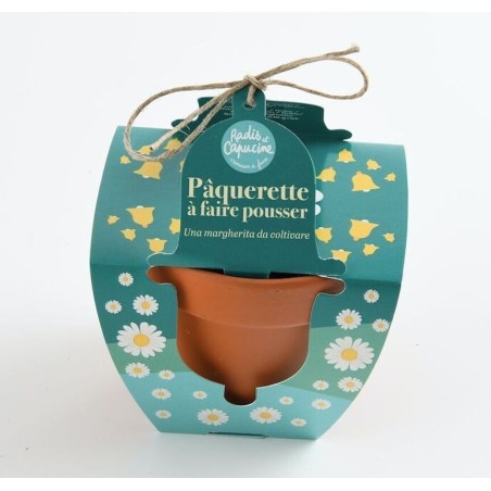 Pâques Pot Terre cuite 8cm Pâquerettes - Radis et Capucine