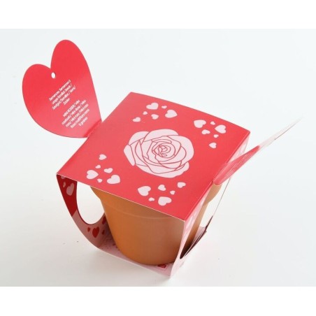 Amour Pot Terre cuite 8cm Rosier - Radis et Capucine