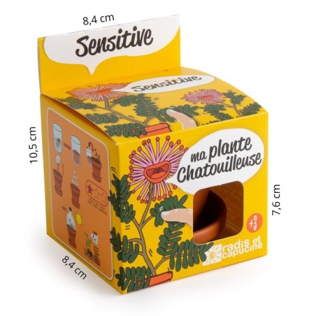 Kit Mimosa Pudica - Radis et Capucine