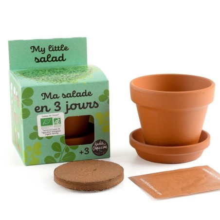 Ma petite Salade Bio en 3 jours - Radis et Capucine