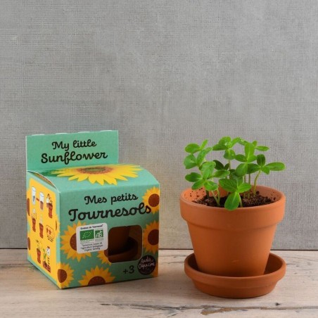 Mes petits Tournesols Bio - Radis et Capucine