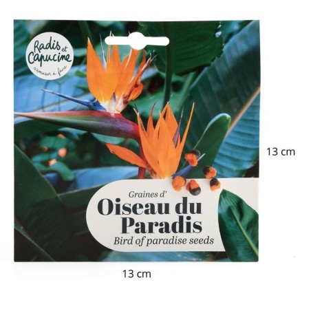 Graines Oiseau du Paradis Strelitzia - Radis et Capucine
