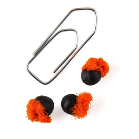 Graines Oiseau du Paradis Strelitzia - Radis et Capucine