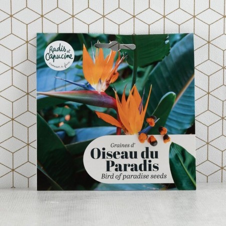 Graines Oiseau du Paradis Strelitzia - Radis et Capucine