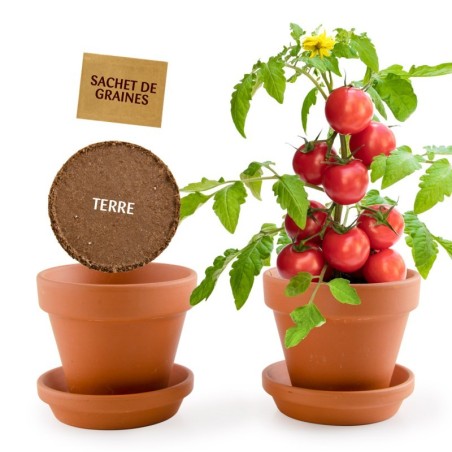 Mini Kit Tomates Cerises Bio - Radis et Capucine