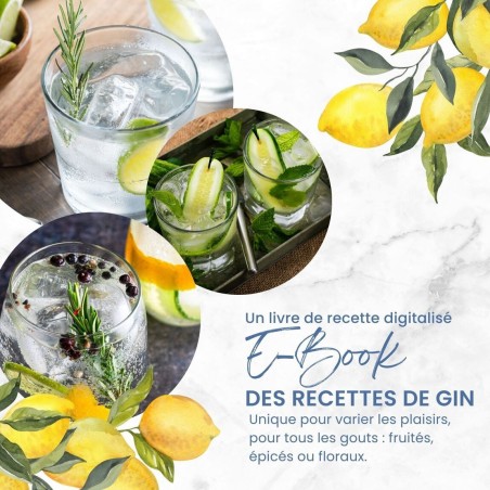 Kit Gin Découverte Gin Arrangé - Louise & Gaston