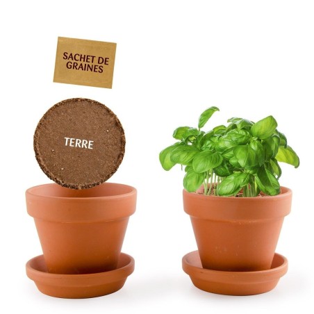 Mini Kit Basilic Bio - Radis et Capucine