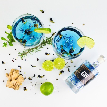 Kit Gin Complet Gin Arrangé - Louise & Gaston