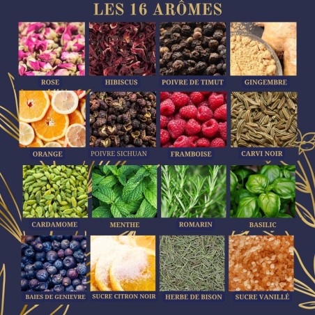 Kit Gin Complet Gin Arrangé - Louise & Gaston