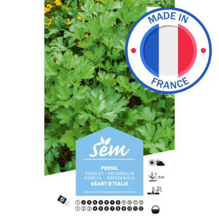 Graines Persil Géant d'Italie