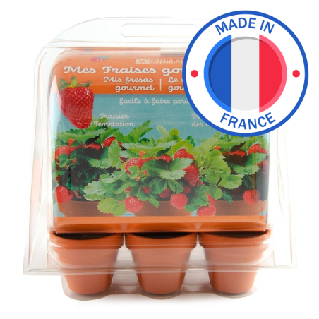 Mini Serre Plastique Graines de Fraisiers - Radis et Capucine