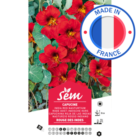 Graines Capucine Rouge des Indes