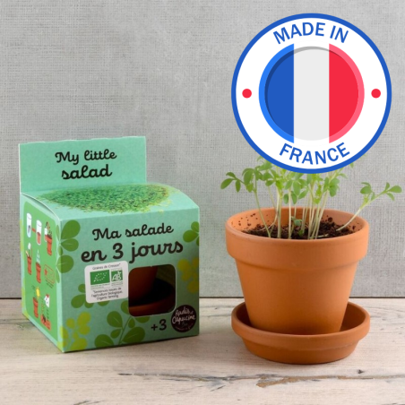Ma petite Salade Bio en 3 jours - Radis et Capucine