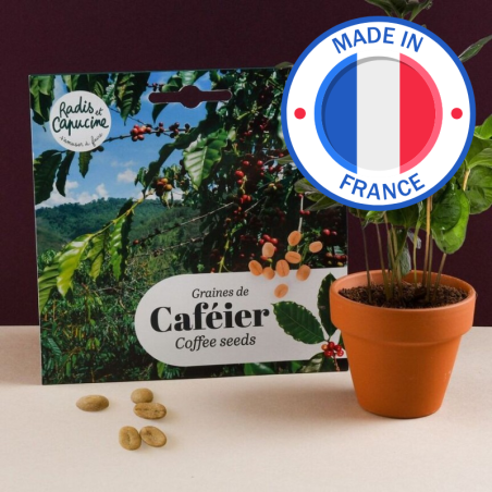 Graines Caféier du Brésil - Radis et Capucine