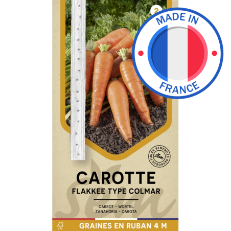Graines Carotte Flakkee en Ruban de 4M