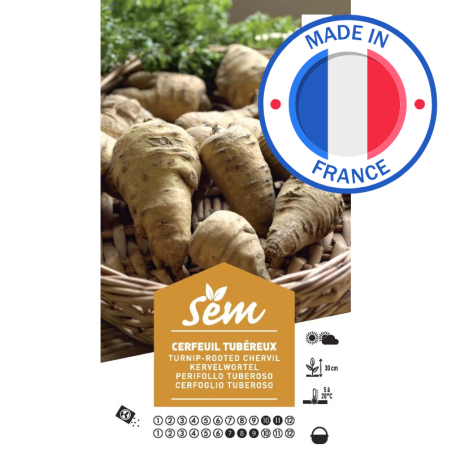 Graines Cerfeuil Tubéreux