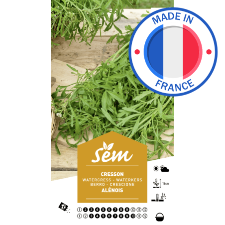 Graines Cresson Alénois