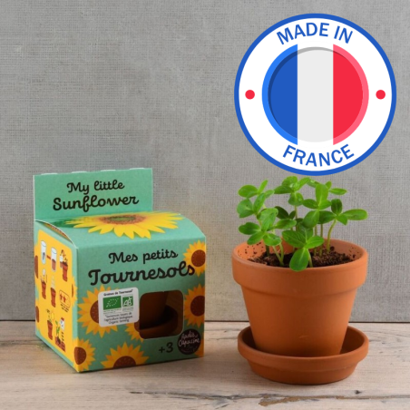 Mes petits Tournesols Bio - Radis et Capucine