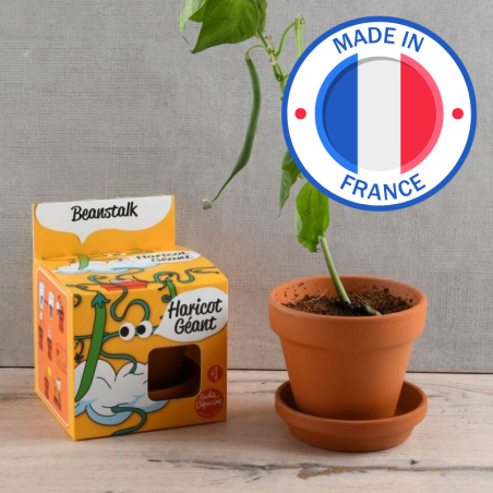 Kit Haricot Géant - Radis et Capucine