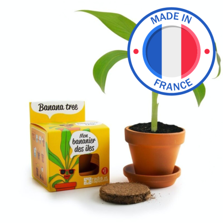 Kit Bananier - Radis et Capucine