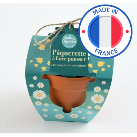Pâques Pot Terre cuite 8cm Pâquerettes - Radis et Capucine