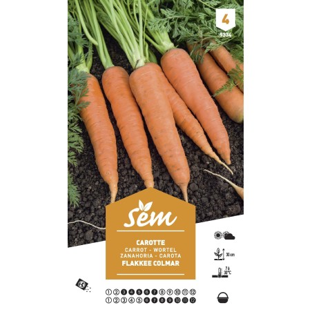 Graines Carotte Flakkee de Colmar - Sachet XXL