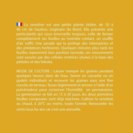 Graines Mimosa Pudica du Brésil - Radis et Capucine