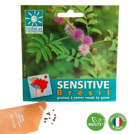Graines Mimosa Pudica du Brésil - Radis et Capucine