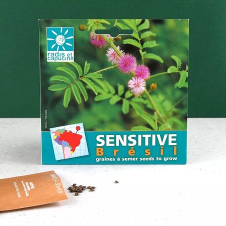 Graines Mimosa Pudica du Brésil - Radis et Capucine