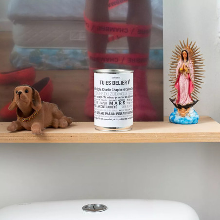 Kits à Semer Bélier avec "Tout est Dit" - Mauvaises Graines