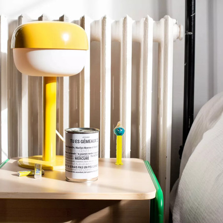 Kits à Semer Gemeaux avec "Tout est Dit" - Mauvaises Graines