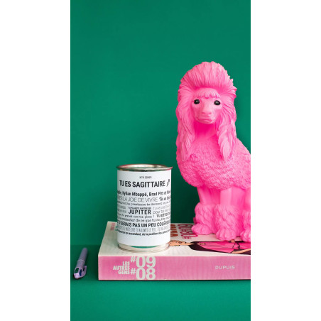 Kits à Semer Sagittaire avec "Tout est Dit" - Mauvaises Graines