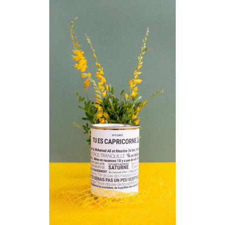 Kits à Semer Capricorne avec "Tout est Dit" - Mauvaises Graines