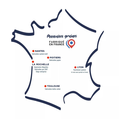 Kits à Semer Verseau avec "Tout est Dit" - Mauvaises Graines