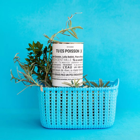 Kits à Semer Poisson avec "Tout est Dit" - Mauvaises Graines