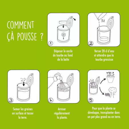 Kit à Semer "Merci Maitre" - Mauvaises Graines