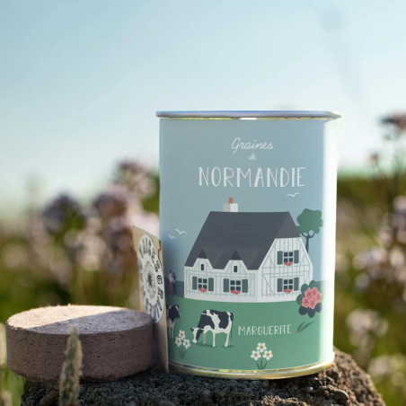 Kit à Semer "Normandie" Graines de Marguerites - Mauvaises Graines