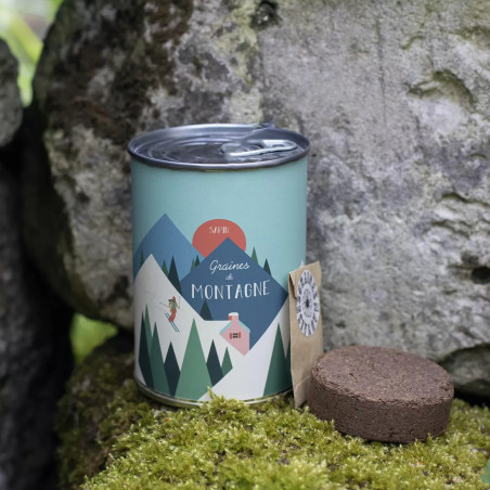 Kit à Semer "Montagne" Graines de Sapin - Mauvaises Graines